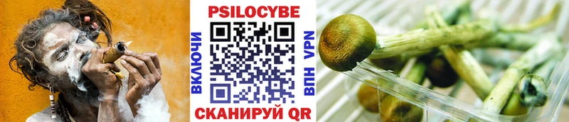 наркота  Углегорск  Псилоцибиновые грибы прущие грибы 